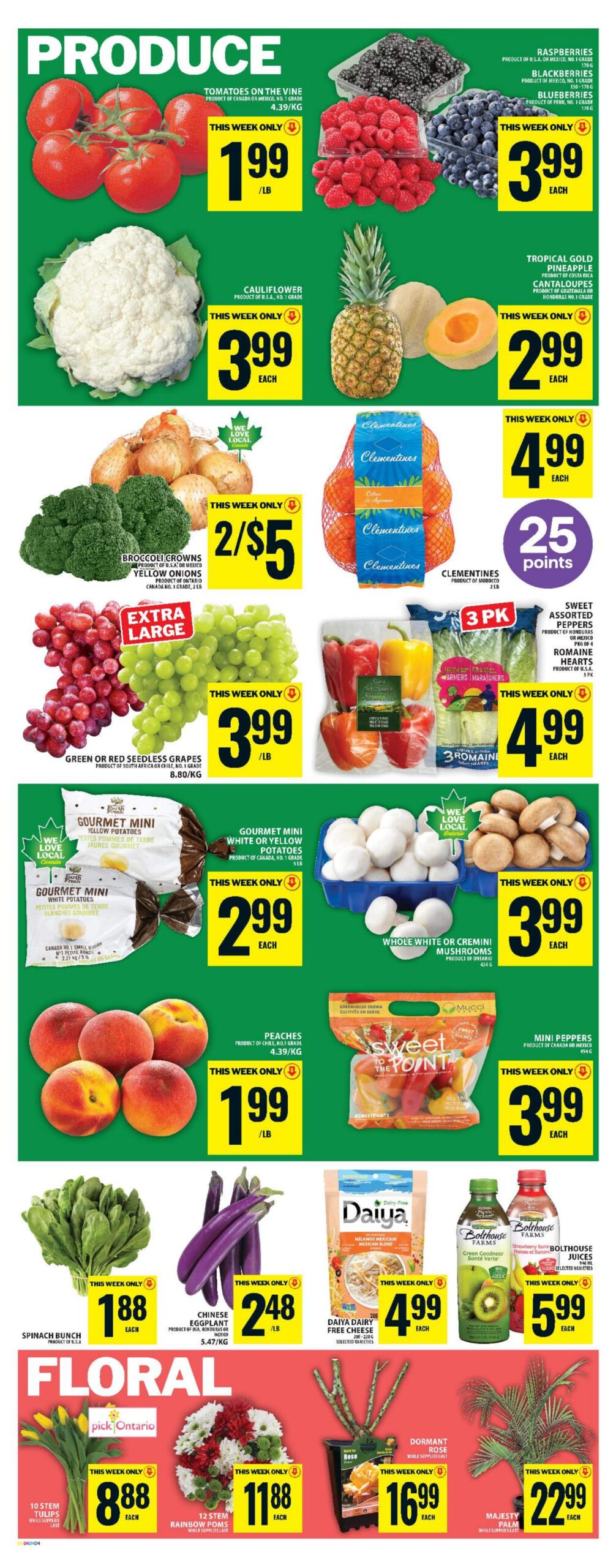 FoodBasics Weekly Flyer 0 Valid 09-04-26 - 15-04-26-06
