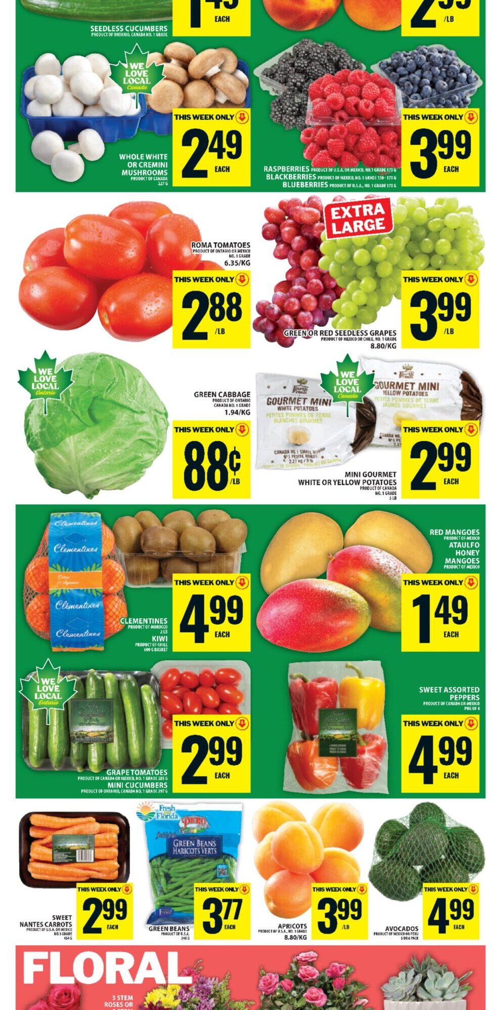 FoodBasics Weekly Flyer 0 Valid 21-05-26 - 27-05-26-07