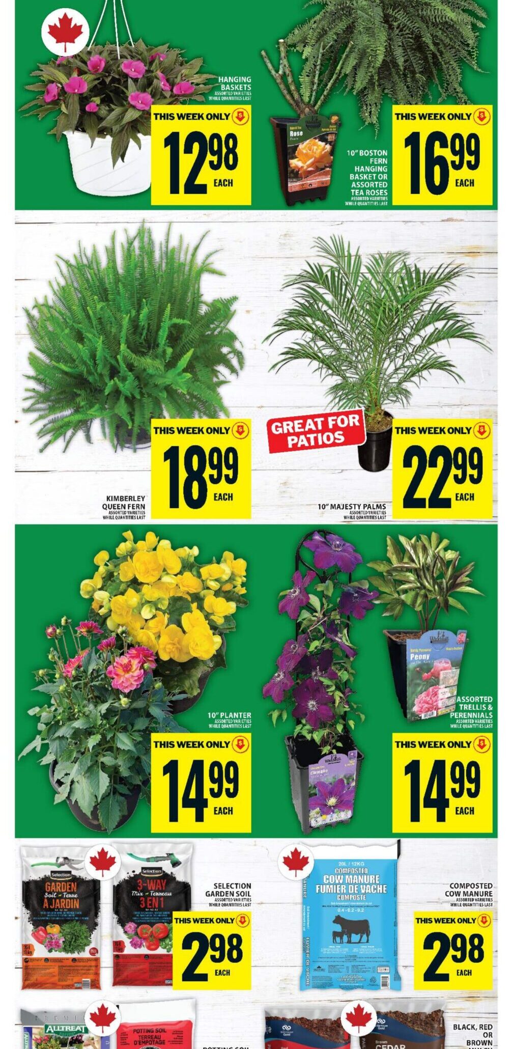FoodBasics Weekly Flyer 0 Valid 21-05-26 - 27-05-26-16