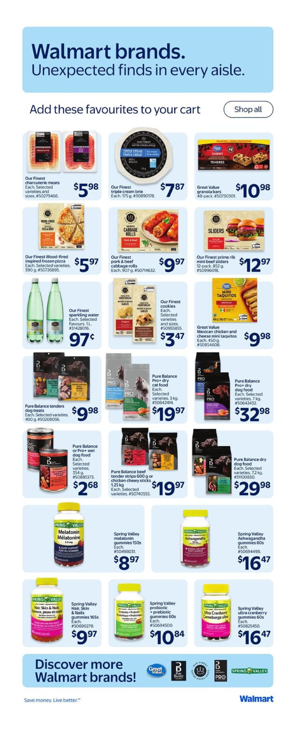 flyer-13