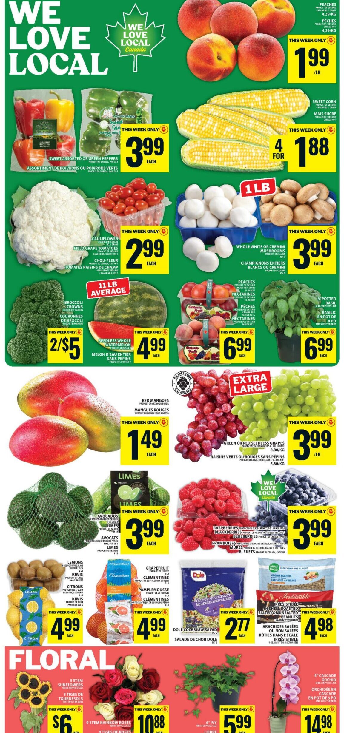 FoodBasics Weekly Flyer 4 Valid 13-08-26 - 19-08-26-03