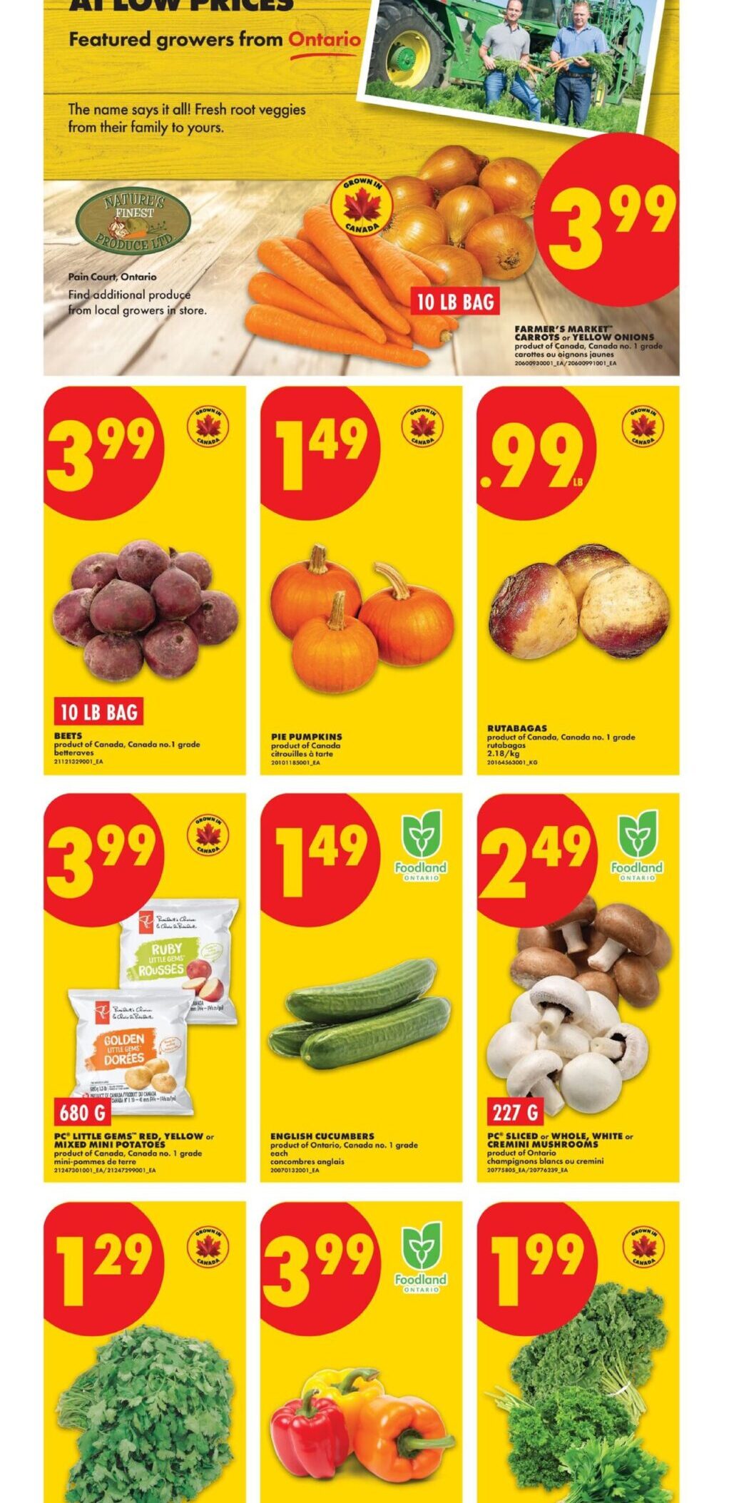 Weekly Flyer _ No Frills Online-03